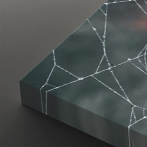 Black Widow Spider Web Canvas Wall Art — 5-Panel Level