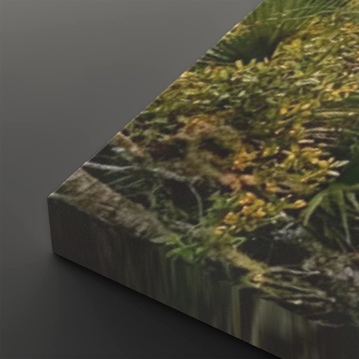 A close-up of a rectangular canvas or print showing a natural outdoor scene with green grass, yellow flowers, and dark wet ground, photographed against a dark gray background.