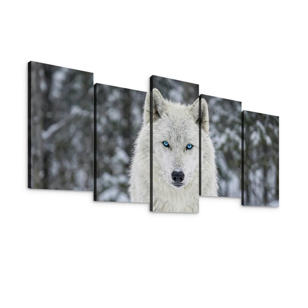 Five-panel canvas wall art showing a close-up of a white wolf with bright blue eyes against a snowy forest background, displayed on a white wall.