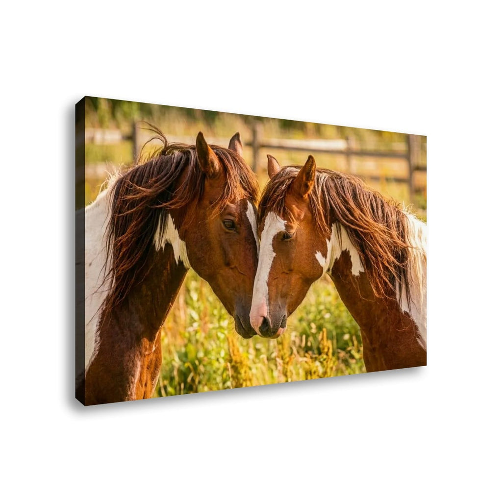 A rectangular canvas wall art print showing two brown horses with white markings standing in a sunlit field, photographed against a clean white background.