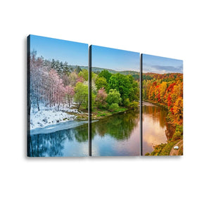 Four Seasons — Winter, Spring, Summer & Fall Canvas Wall Art