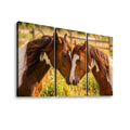 Three-panel canvas wall art showing two brown horses with white markings in a sunlit field, displayed against a light gray background.