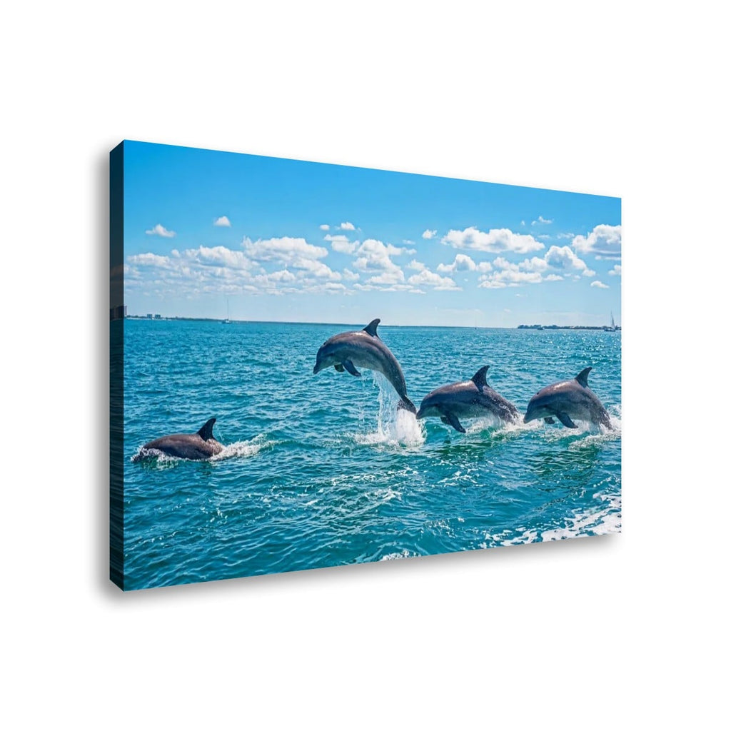 Dolphins Jumping, Breaching, Porpoising in the Gulf of Mexico Canvas Wall Art — Single & Multi-Panel Prints