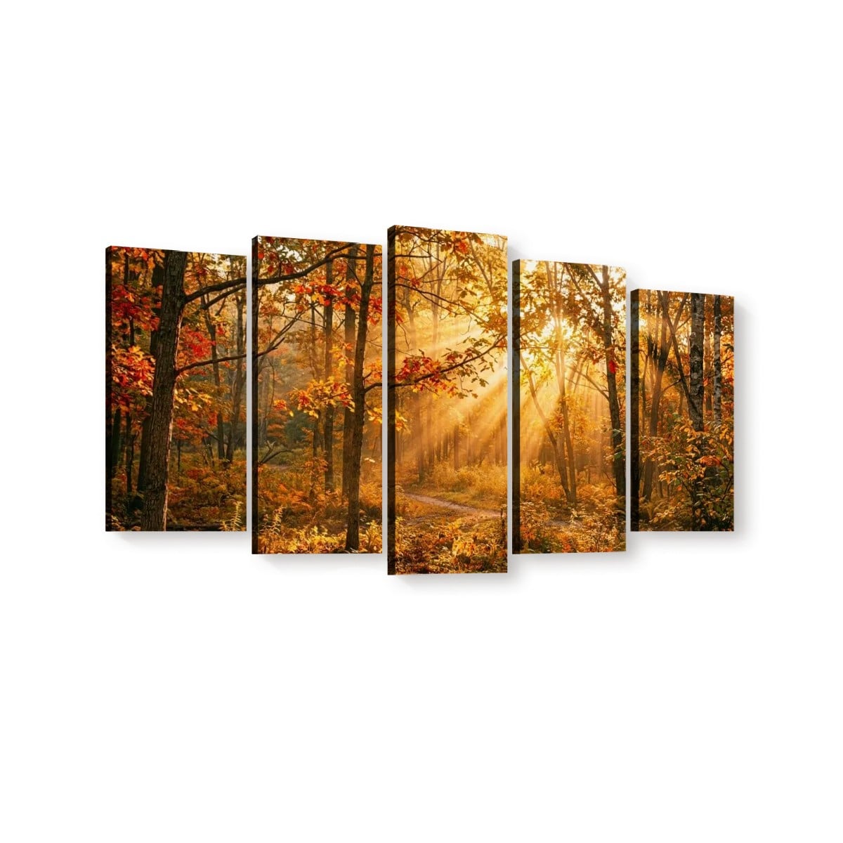 Autumn Forest Fall Sun Rays Canvas Panel Wall Art Living Bed Room Print