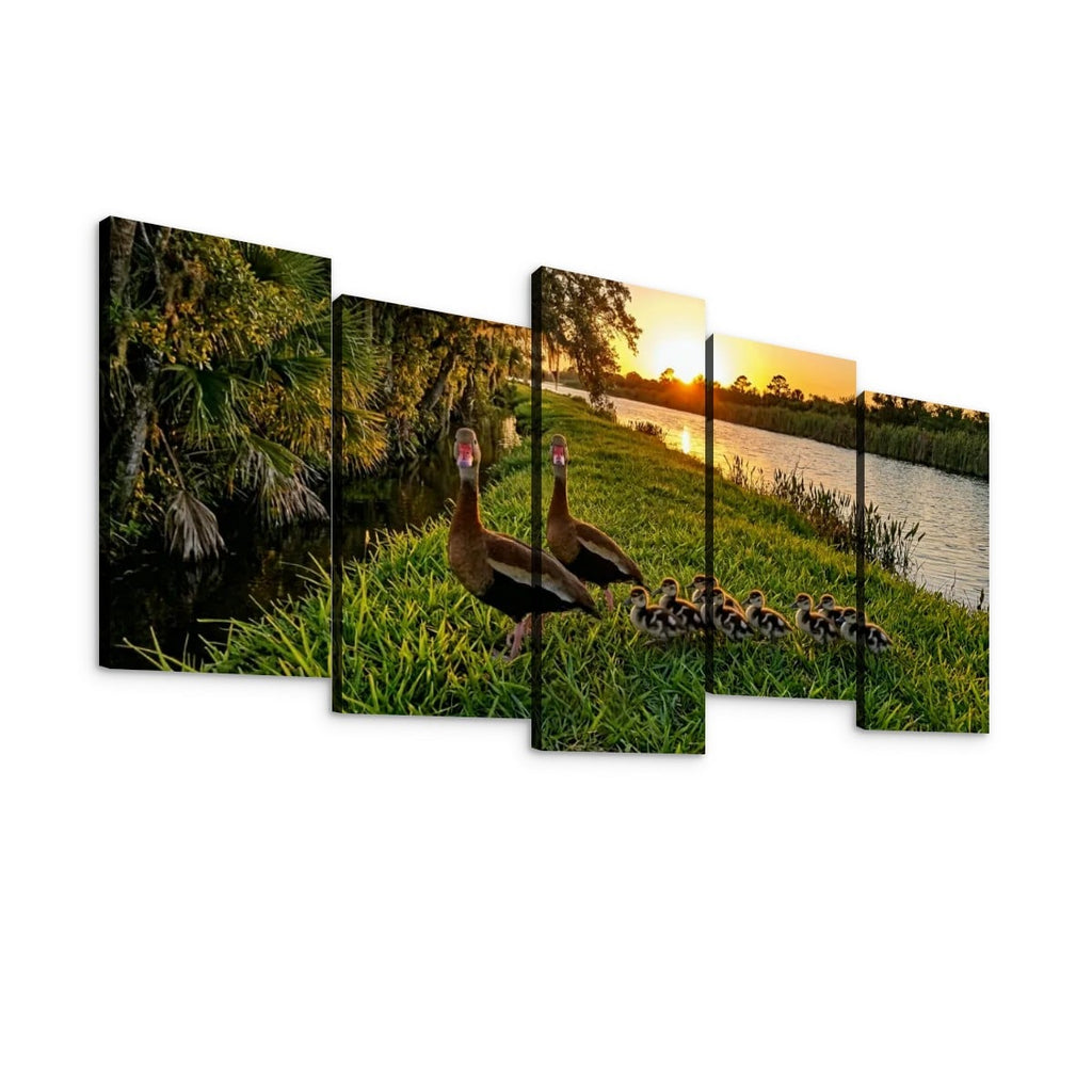 A five-panel canvas wall art set depicting a family of Black-bellied Whistling-Ducks in a grassy marsh at sunset beside a river, shown against a plain white background.