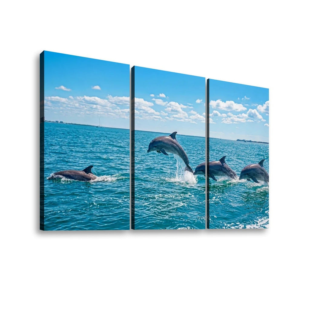 Dolphins Jumping, Breaching, Porpoising in the Gulf of Mexico Canvas Wall Art — Single & Multi-Panel Prints