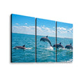 Dolphins Jumping, Breaching, Porpoising in the Gulf of Mexico Canvas Wall Art — Single & Multi-Panel Prints
