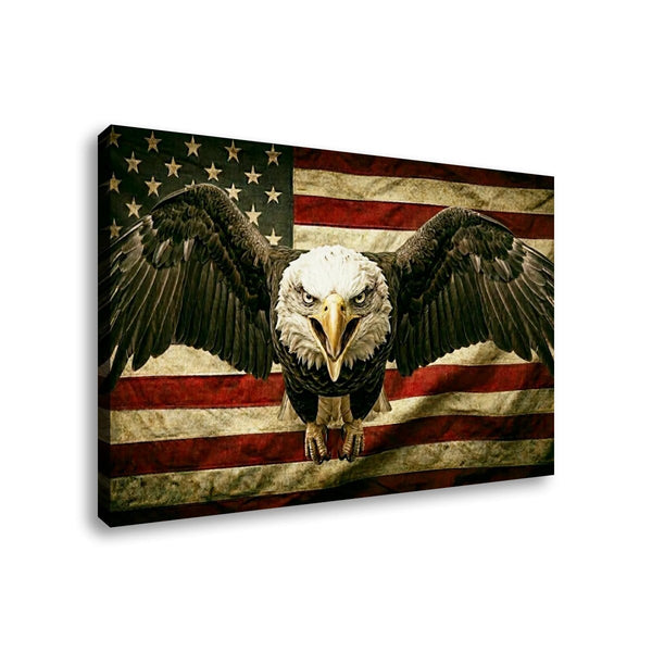 Vintage Eagle Flag Canvas Wall Art – Patriotic American Bald Eagle | 1, 3 & 5 Panel Staggered Print
