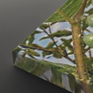 A rectangular canvas or print shown at an angle on a dark gray background, featuring a close-up photographic scene of green leaves and stems with pale blue sky visible through the print.