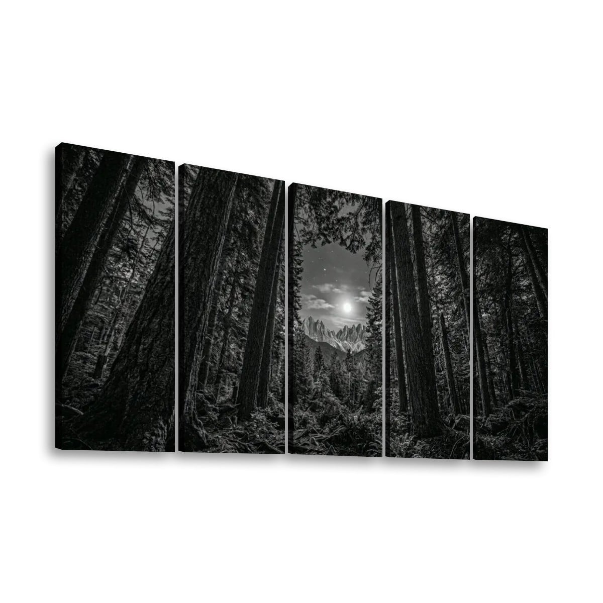 Enchanted Moonlit Forest Living room wall decor over sofa