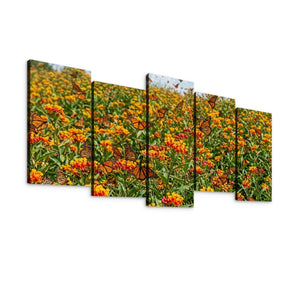 A five-panel canvas wall art set depicting a field of orange and yellow flowers with monarch butterflies, shown against a plain white background.