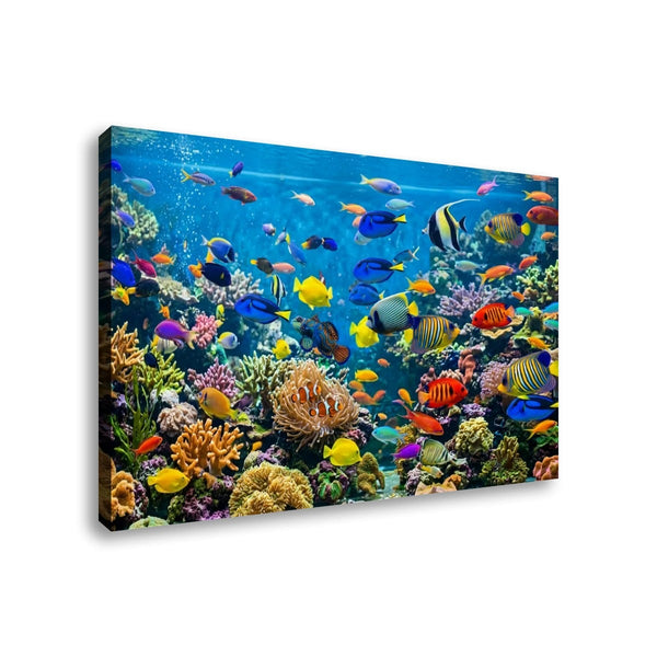 Colorful Fish Aquarium Canvas Wall Art — Vibrant Multi-Panel Print