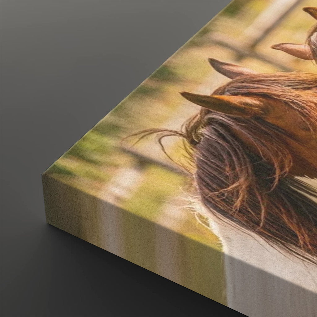 A close-up canvas wall art print showing part of a horse's head and mane, photographed at an angle on a dark gray background.