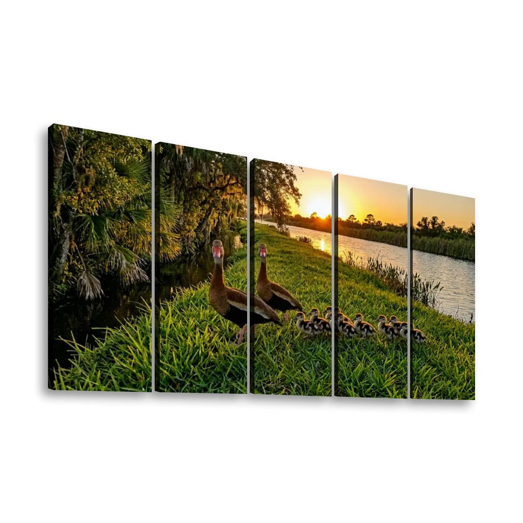 Five-panel canvas wall art showing a natural landscape at sunset with two ducks standing in grass beside a lake, with a group of ducklings nearby. The panels are displayed against a plain white background.