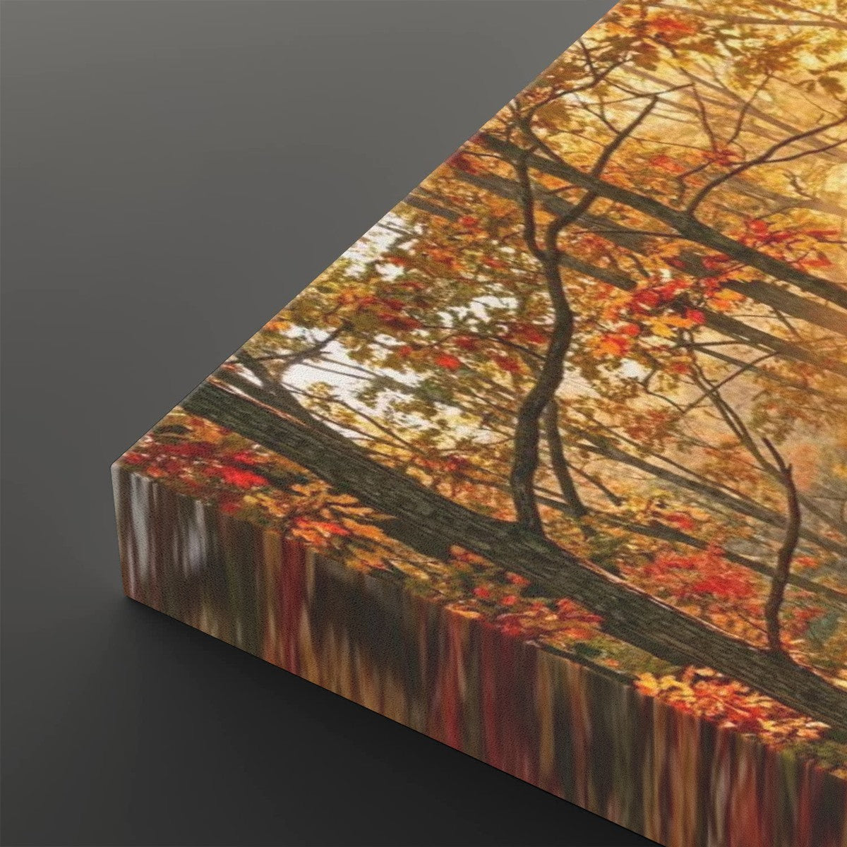 Autumn Forest Fall Sun Rays Canvas Panel Wall Art Living Bed Room Print