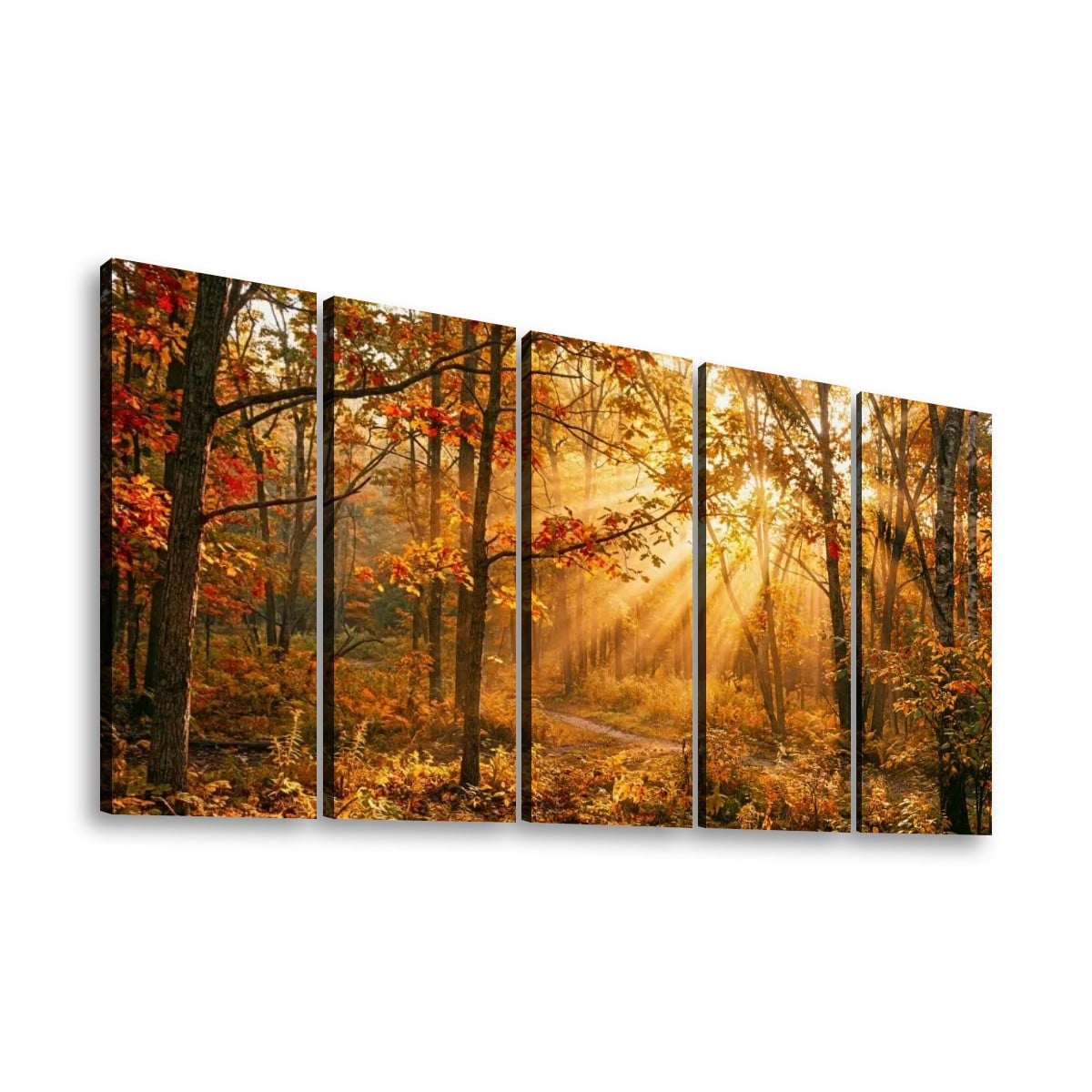 Autumn Forest Fall Sun Rays Canvas Panel Wall Art Living Bed Room Print