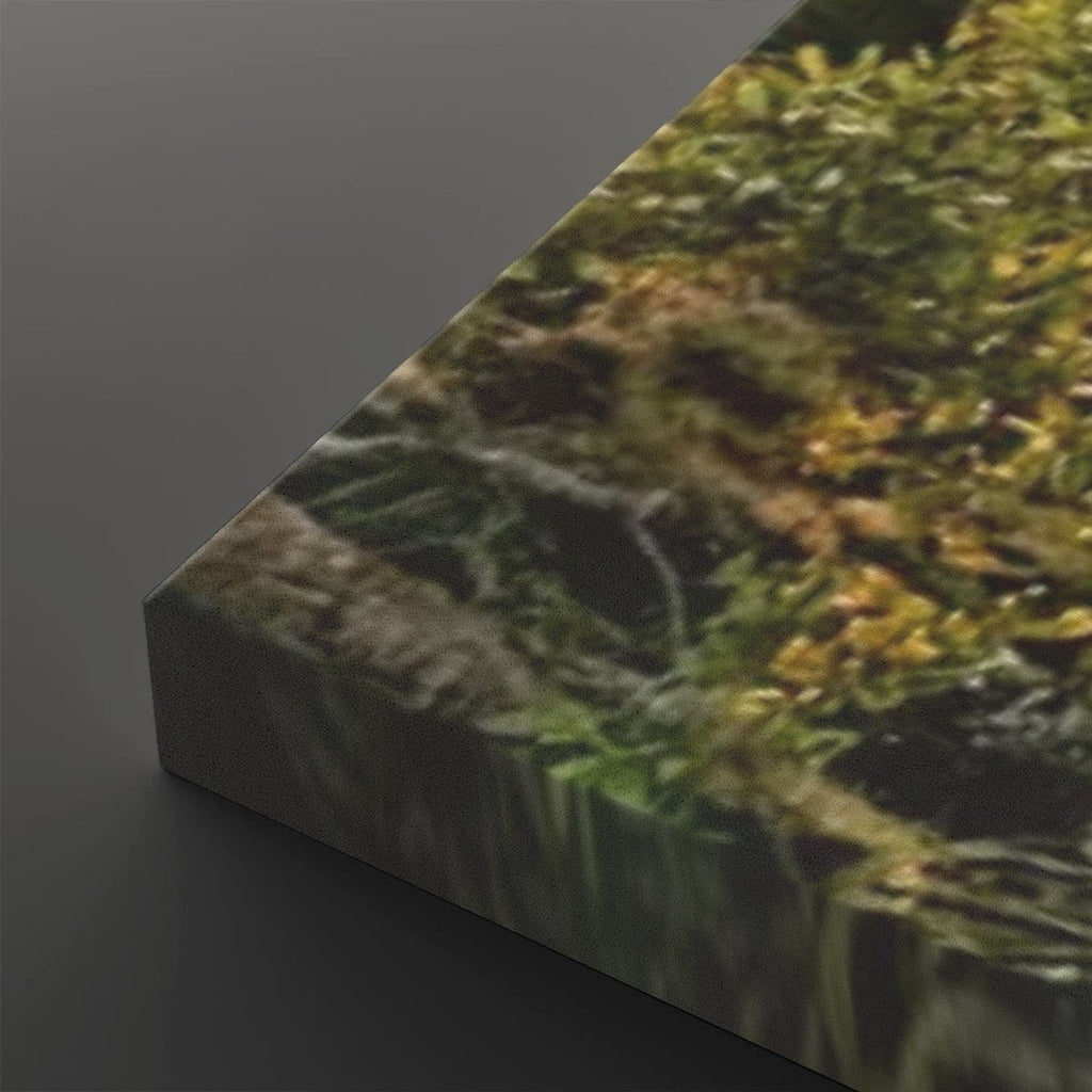 A close-up of a rectangular canvas or print showing a blurred natural scene with green foliage and brown/golden highlights, photographed against a dark gray background.