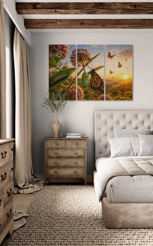 Monarch Butterflies